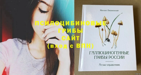 молекула духа Костерёво