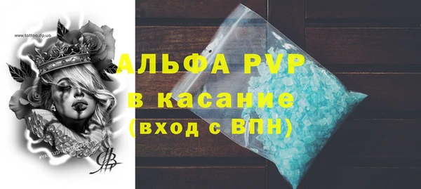 молекула духа Костерёво