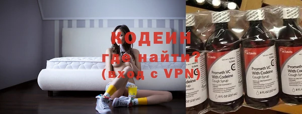 молекула духа Костерёво