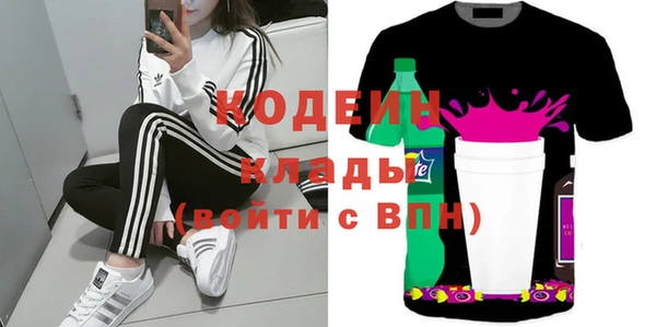 винт Анива