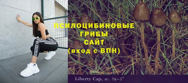 ешки Корсаков