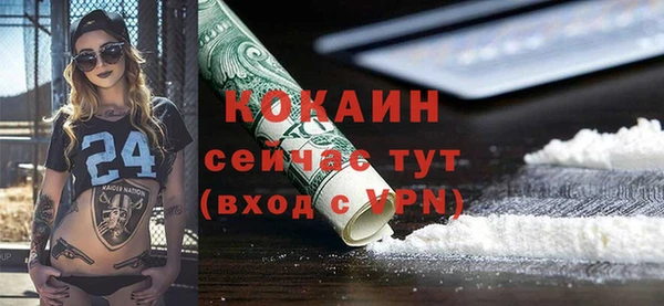 ешки Корсаков