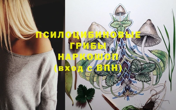 молекула духа Костерёво