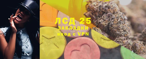 ешки Корсаков