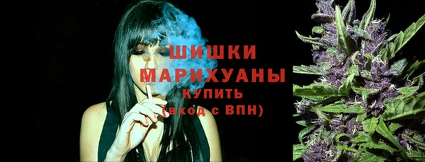ешки Корсаков